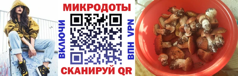 Купить закладки  Наволоки  Псилоцибиновые грибы MAGIC MUSHROOMS 